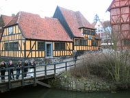 danishnet